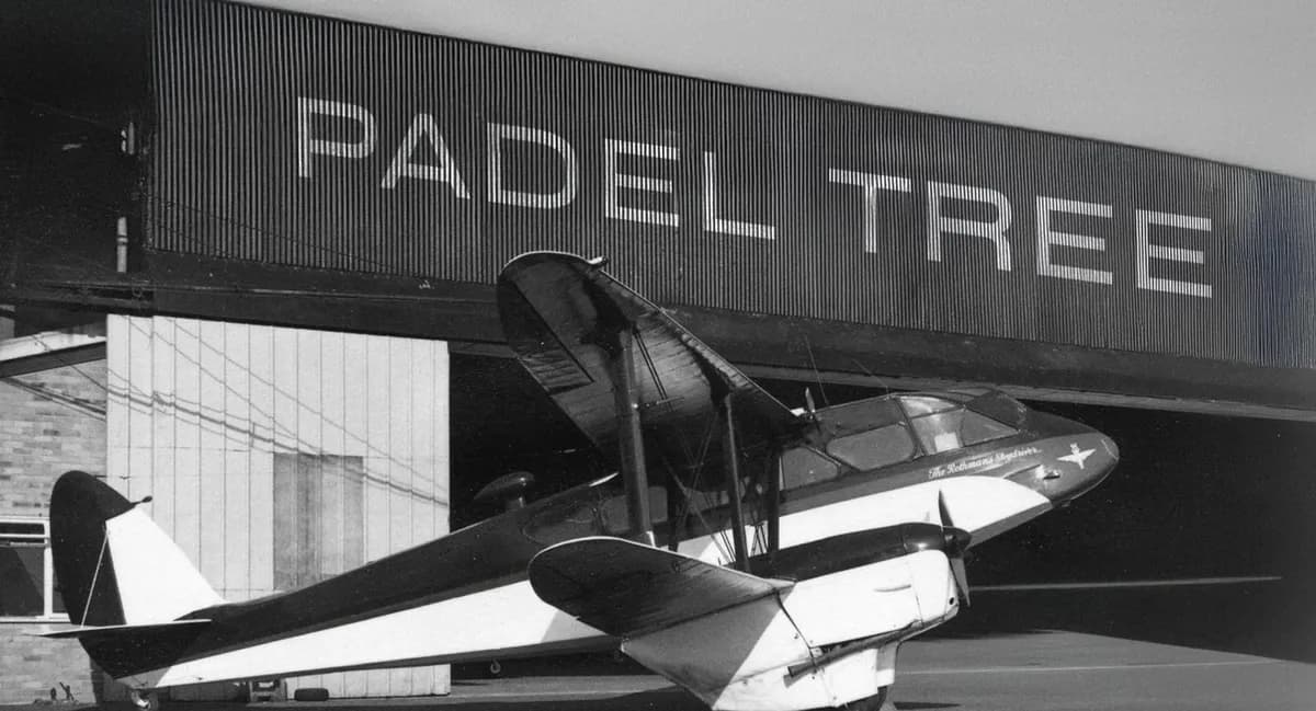 Padel courts at Padel Tree Chobham in Chobham – book online